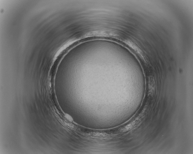 X0000087691070200705181749