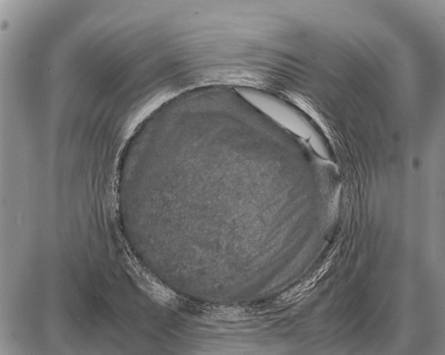 X0000087691071200705181749