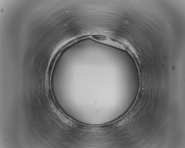 X0000087691072200705181749