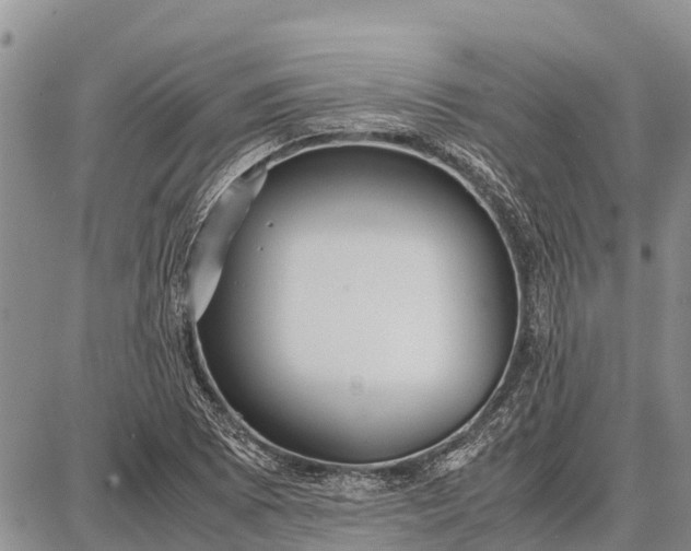 X0000087691073200705181749