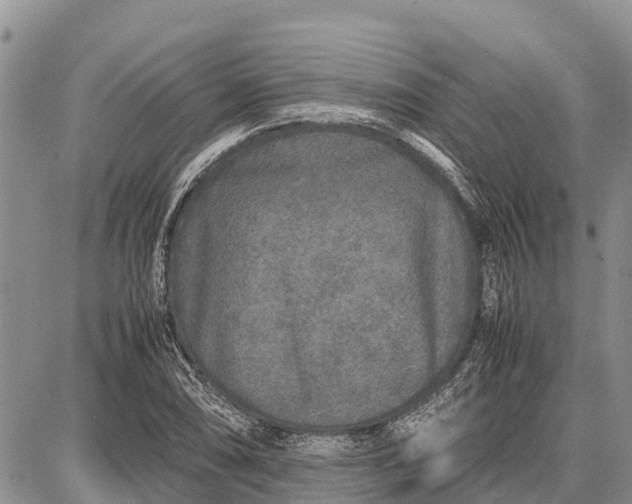 X0000087691074200705181749