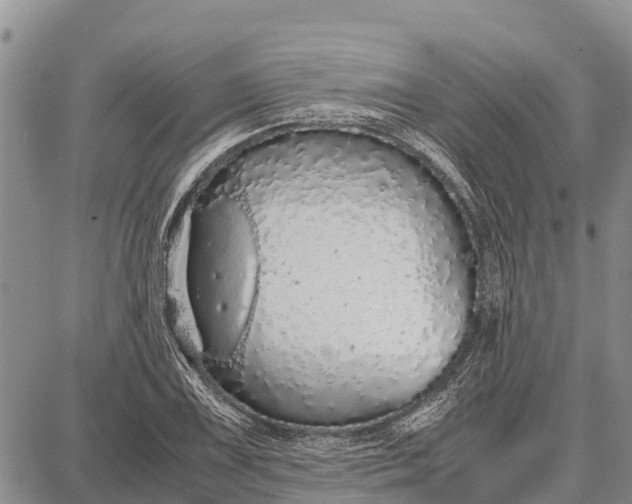 X0000087691075200705181749