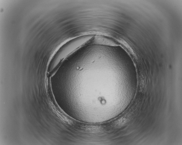 X0000087691076200705181749