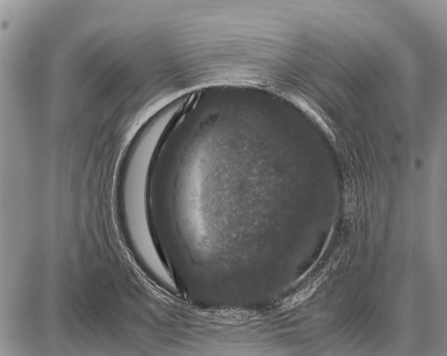 X0000087691077200705181749