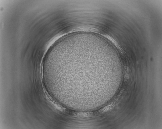 X0000087691078200705181749