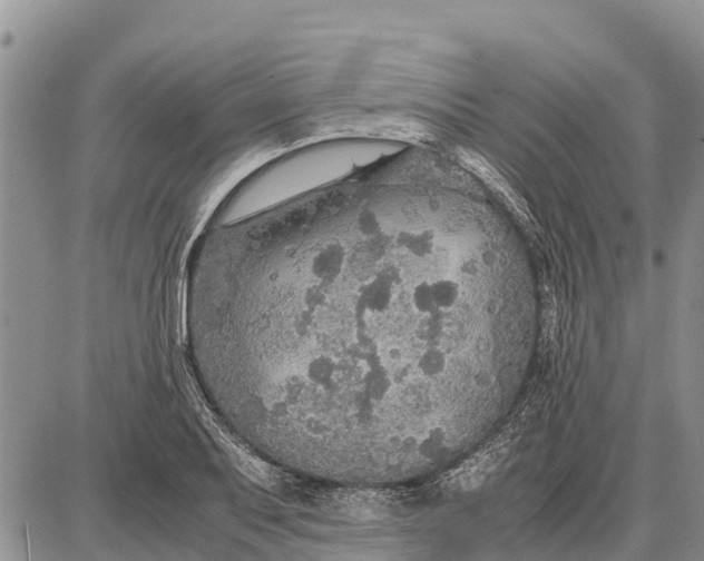 X0000087691079200705181749