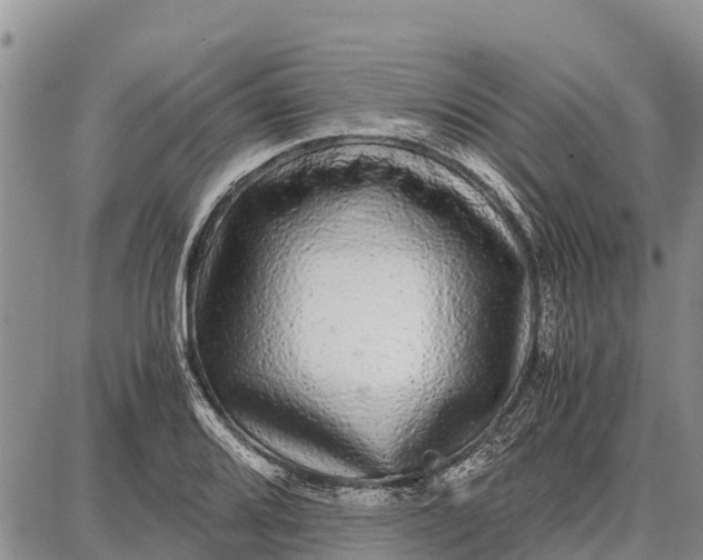 X0000087691080200705181749