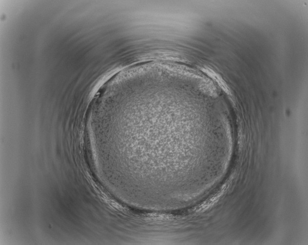 X0000087691081200705181749