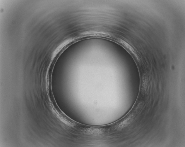 X0000087691082200705181749