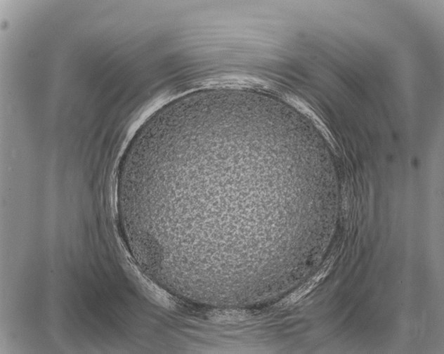 X0000087691083200705181749