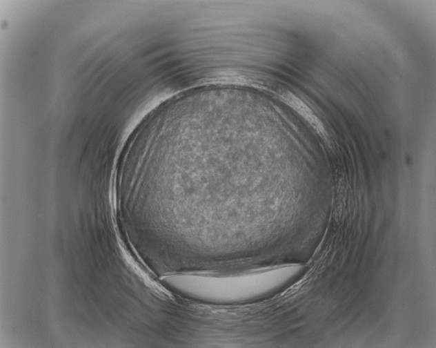 X0000087691084200705181749