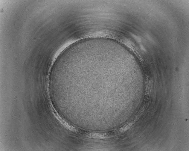 X0000087691086200705181748