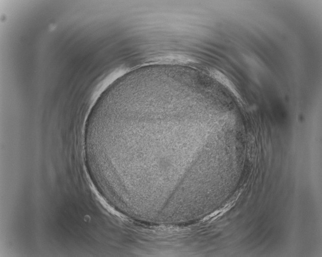 X0000087691087200705181748