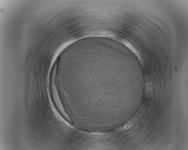 X0000087691088200705181748