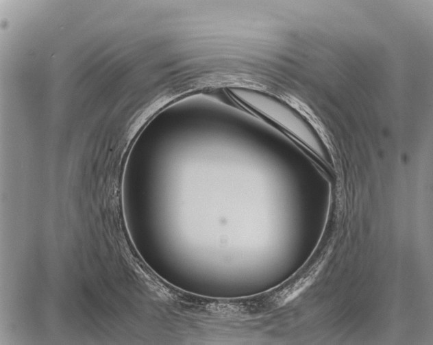 X0000087691089200705181748