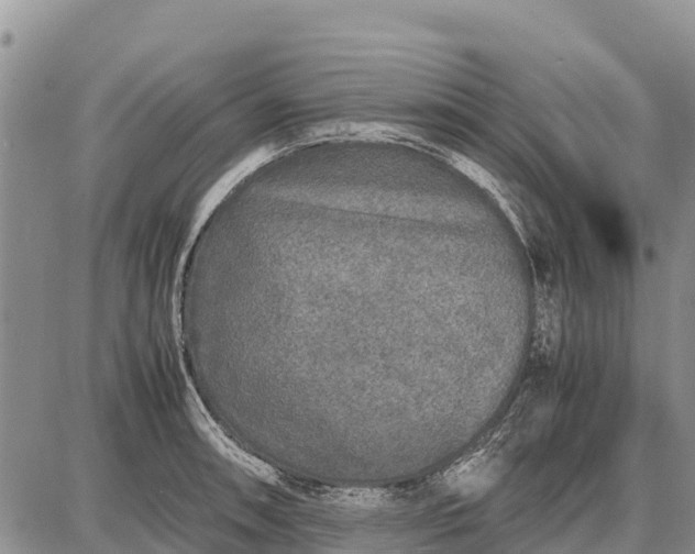 X0000087691090200705181748