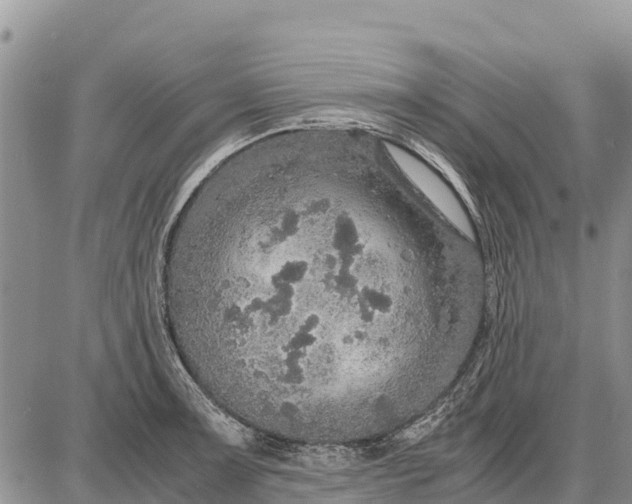 X0000087691091200705181748