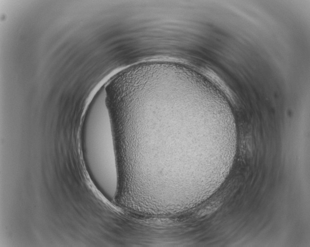 X0000087691092200705181748