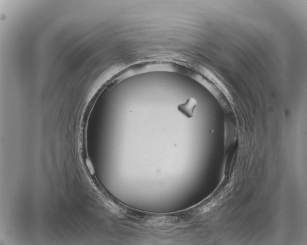 X0000087691093200705181748