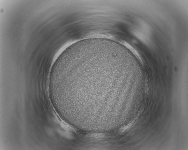 X0000087691094200705181748