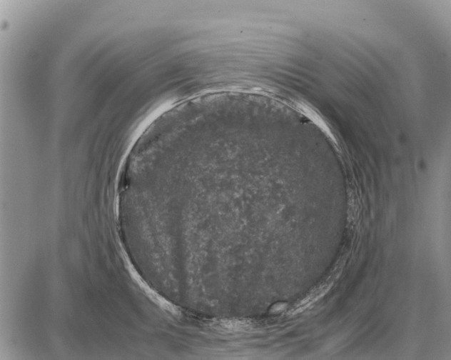 X0000087691095200705181748