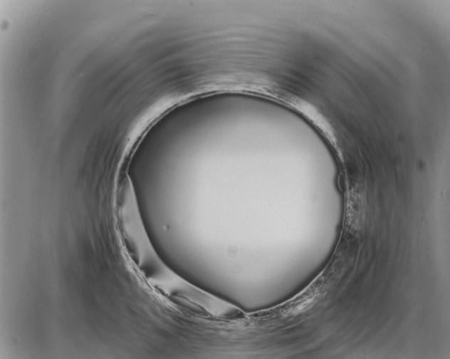 X0000087691096200705181748