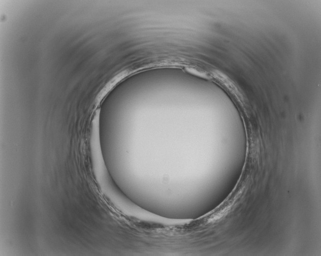 X0000087691097200705181748