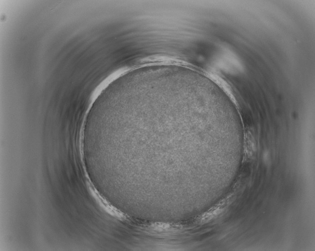 X0000087691098200705181748