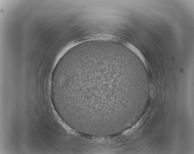 X0000087691099200705181748