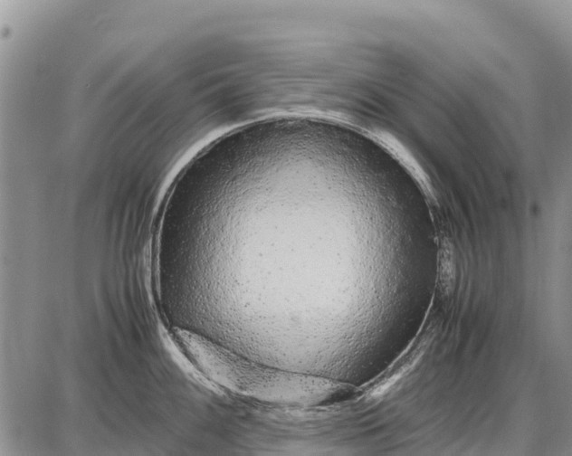 X0000087691100200705181748