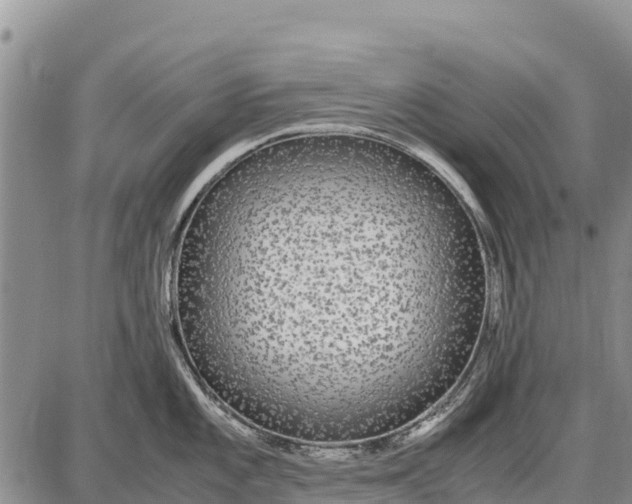 X0000087691101200705181748