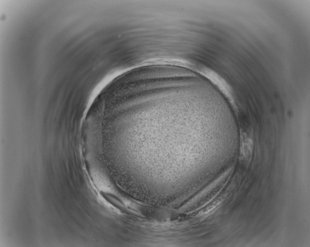 X0000087691102200705181748