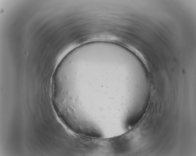 X0000087691103200705181748