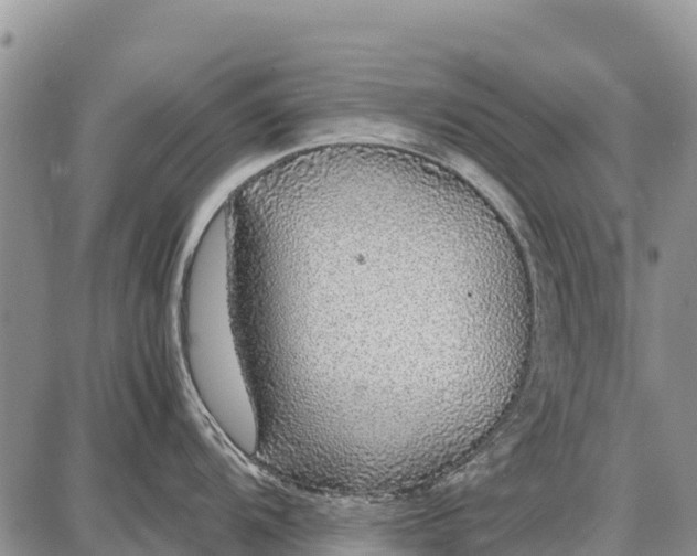 X0000087691104200705181748