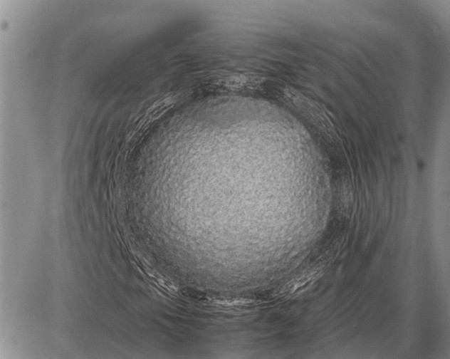 X0000087691105200705181747