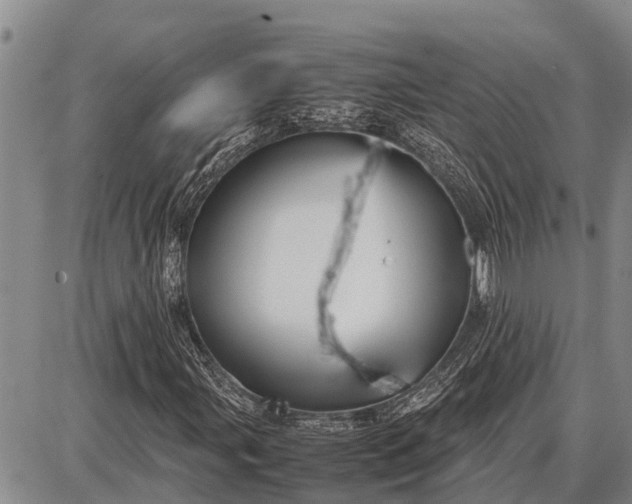 X0000087691107200705181747