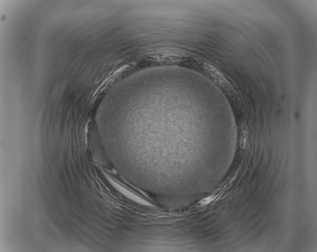 X0000087691108200705181747