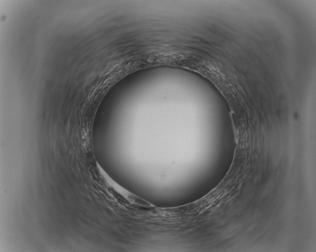 X0000087691109200705181747