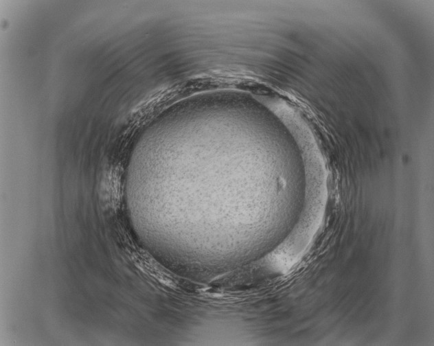 X0000087691110200705181748