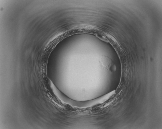 X0000087691112200705181748