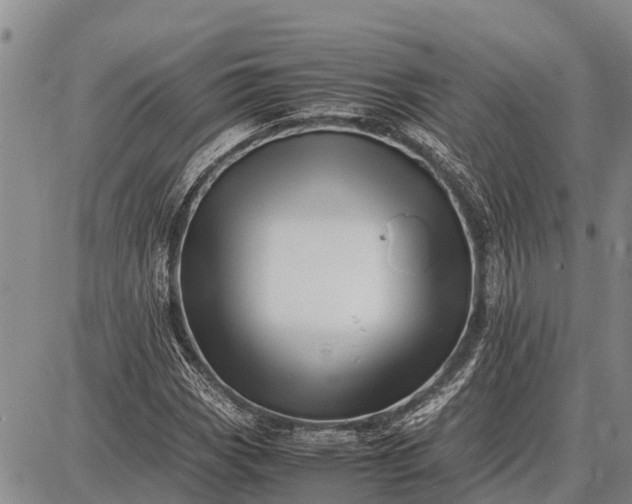 X0000087691113200705181748