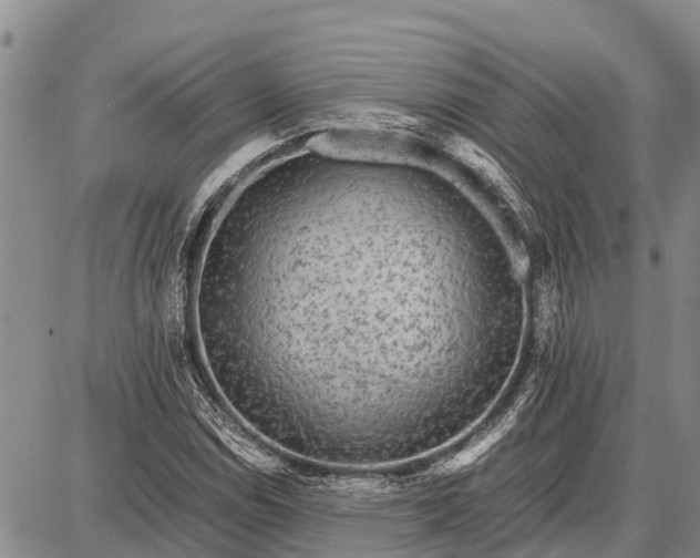 X0000087691114200705181748