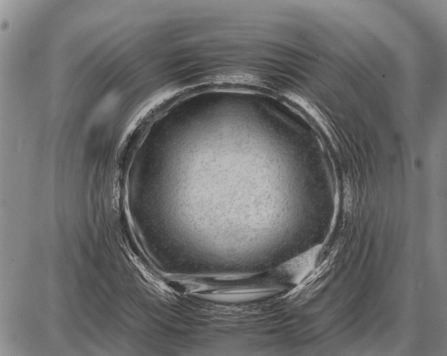 X0000087691115200705181748