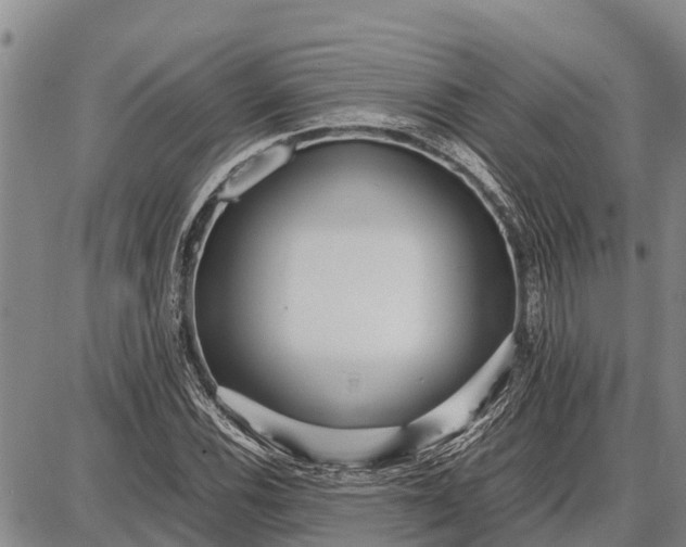 X0000087691116200705181748