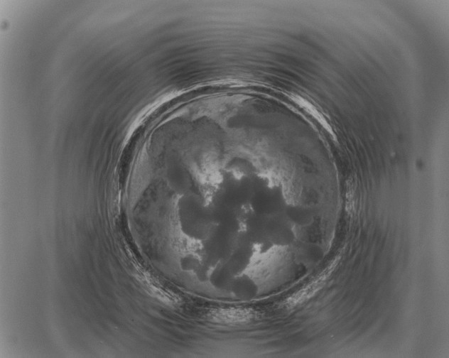 X0000087691117200705181748