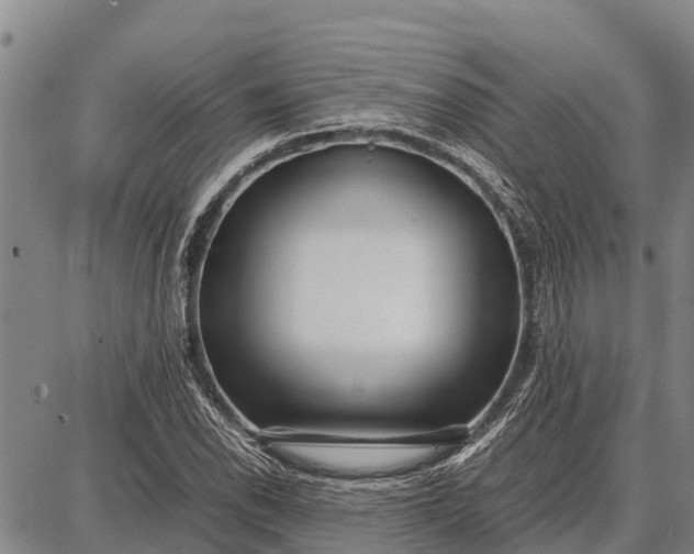 X0000087691118200705181748