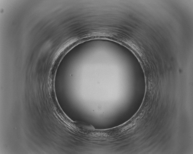 X0000087691119200705181748