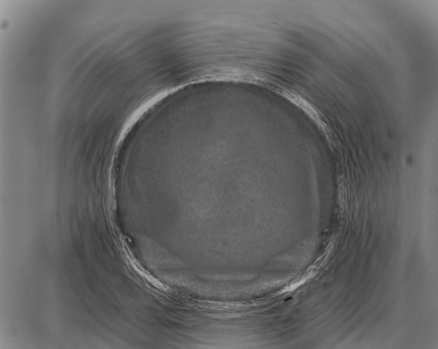 X0000087691120200705181748