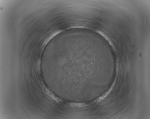 X0000087691121200705181748