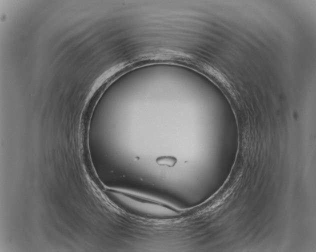 X0000087691122200705181748